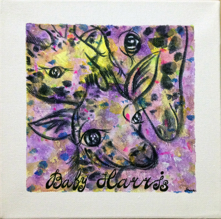 A congrats on Baby Harris. A loved family. 